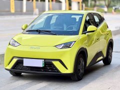 BYD Seagull 2023 Vitality Edition - ფოტო 1