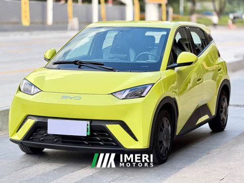 2024 BYD Seagull 2023 Vitality Edition - ავტომობილი ჩინეთიდან