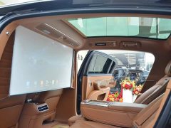 Hyundai Zun S800 Extended Range Starlight Premium Edition 5-Seater (192-line LiDAR) - ფოტო 14