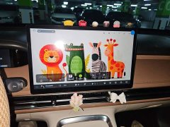 Wuling Bingo S 325km Flagship - ფოტო 20