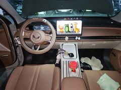 Wuling Bingo S 325km Flagship - ფოტო 5