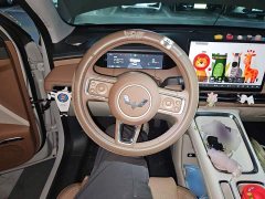 Wuling Bingo S 325km Flagship - ფოტო 6