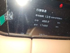 Wuling Bingo S 325km Flagship - ფოტო 8