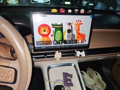 Wuling Bingo S 325km Flagship - ფოტო 9