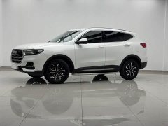 Haval H6 2021 National Trend Edition 1.5T Automatic Urban Version - ფოტო 1
