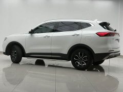 Haval H6 2021 National Trend Edition 1.5T Automatic Urban Version - ფოტო 11