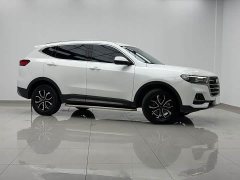 Haval H6 2021 National Trend Edition 1.5T Automatic Urban Version - ფოტო 14