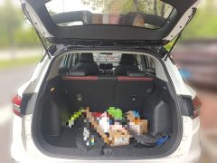 Geely Bingyue 2021 1.4T DCT Diamond Edition - ფოტო 15