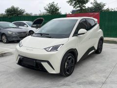 BYD Seagull Glory Edition 305km Freedom Version - ფოტო 1