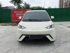 BYD Seagull Glory Edition 305km Freedom Version - ფოტო 2