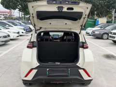 BYD Seagull Glory Edition 305km Freedom Version - ფოტო 7