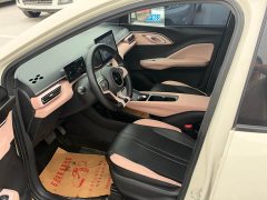 BYD Seagull Glory Edition 305km Freedom Version - ფოტო 8