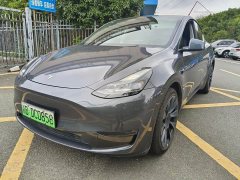 Tesla Model Y Long Range All-Wheel Drive - ფოტო 1