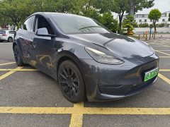 Tesla Model Y Long Range All-Wheel Drive - ფოტო 3