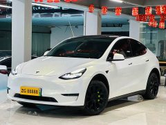 Tesla Model Y Standard Range RWD - ფოტო 1