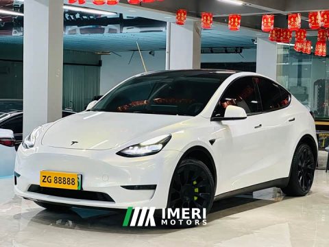 2021 Tesla Model Y Standard Range RWD - ავტომობილი ჩინეთიდან