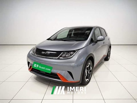 2022 BYD Dolphin 405km Fashion Edition - ავტომობილი ჩინეთიდან
