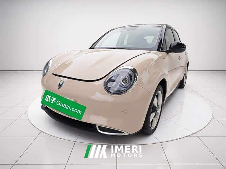 ORA Good Cat 401km Standard Range Luxury LFP - ავტომობილი ჩინეთიდან