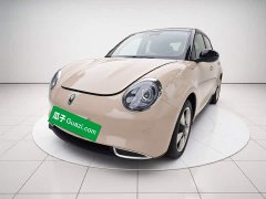 ORA Good Cat 401km Standard Range Luxury LFP - ფოტო 1