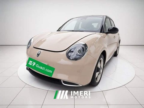 2023 ORA Good Cat 401km Standard Range Luxury LFP - ავტომობილი ჩინეთიდან