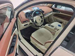 ORA Good Cat 401km Standard Range Luxury LFP - ფოტო 12