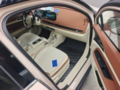 ORA Good Cat 401km Standard Range Luxury LFP - ფოტო 19