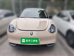 ORA Good Cat 401km Standard Range Luxury LFP - ფოტო 2