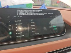 ORA Good Cat 401km Standard Range Luxury LFP - ფოტო 20