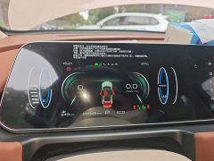 ORA Good Cat 401km Standard Range Luxury LFP - ფოტო 7