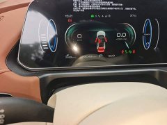 ORA Good Cat 401km Standard Range Luxury LFP - ფოტო 8