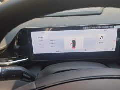 Geely Galaxy L6 125km PLUS Longteng Edition - ფოტო 14