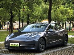 Tesla Model 3 Standard Range RWD Upgrade - ფოტო 1
