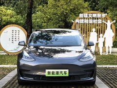 Tesla Model 3 Standard Range RWD Upgrade - ფოტო 2