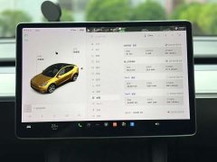 Tesla Model Y Standard Range RWD - ფოტო 6