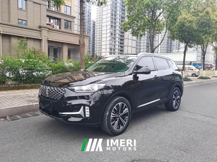 Great Wall WEY VV6 2.0T Two-Wheel Drive Smart Plus