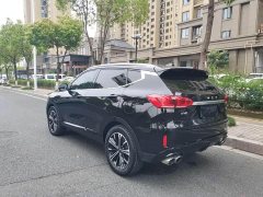 Great Wall WEY VV6 2.0T Two-Wheel Drive Smart Plus - ფოტო 13