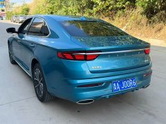 Geely Xingrui 2.0T Diesel Luxury - ფოტო 7