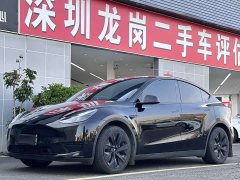 Tesla Model Y Rear-Wheel Drive - photo 1