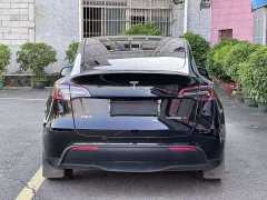 Tesla Model Y Rear-Wheel Drive - photo 12