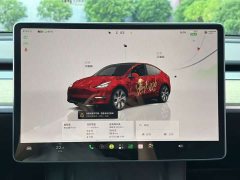 Tesla Model Y Rear-Wheel Drive - photo 6