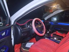 Haval M6 PLUS 1.5T Manual Luxury Smart Connected Edition - ფოტო 12