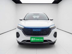 Haval M6 PLUS 1.5T Manual Luxury Smart Connected Edition - ფოტო 2