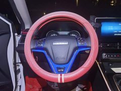 Haval M6 PLUS 1.5T Manual Luxury Smart Connected Edition - ფოტო 6
