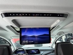 Buick GL8 New Energy 2025 Lusang Respect Edition - ფოტო 14