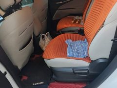 Maxus G50 2023 1.5T Manual Comfort A - ფოტო 11