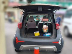 Chery Ant 2022 Sweet Pink Half-Sugar Edition LFP 29.2kWh 30kW 301km - ფოტო 15
