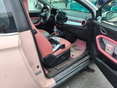 Chery Ant 2022 Sweet Pink Half-Sugar Edition LFP 29.2kWh 30kW 301km - ფოტო 19