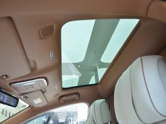 Stelato Zun S800 2025 Extended Range Starlight Executive Edition 4-Seater (192-line LiDAR) - ფოტო 12
