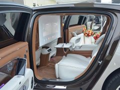 Stelato Zun S800 2025 Extended Range Starlight Executive Edition 4-Seater (192-line LiDAR) - ფოტო 5