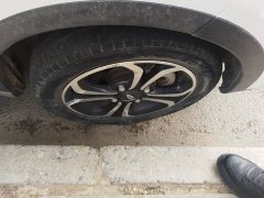 Chery Ant 200k Ant Fans Edition Genki Edition LFP 301km - photo 6